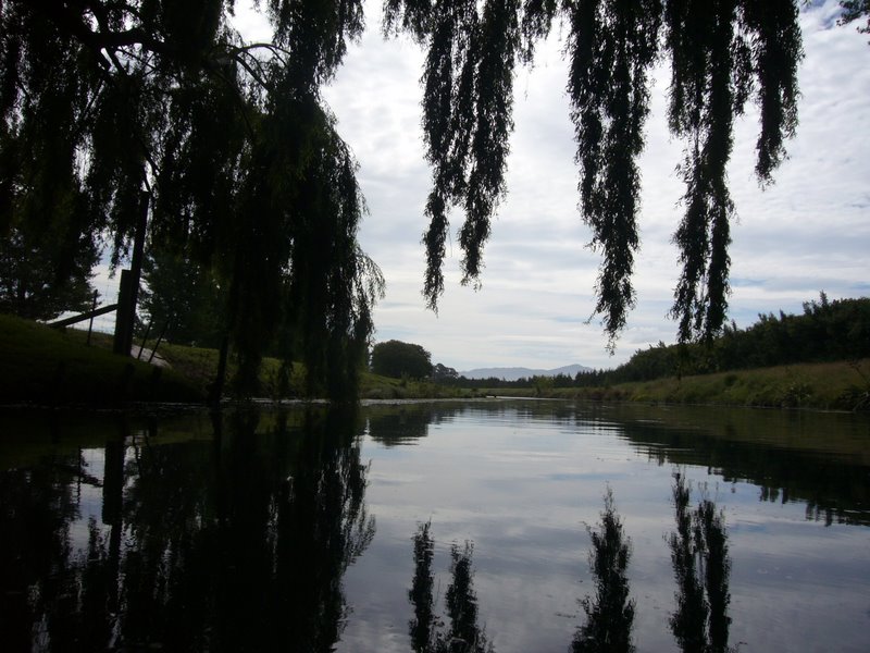 Travel - New Zealand - Blenheim